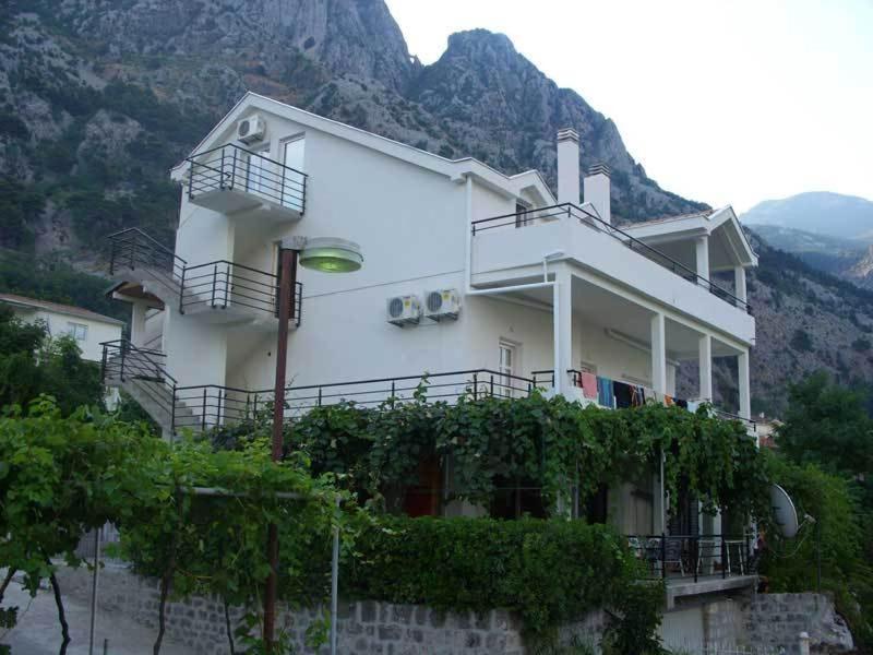 Apartments Dakovic Kotor Exterior photo